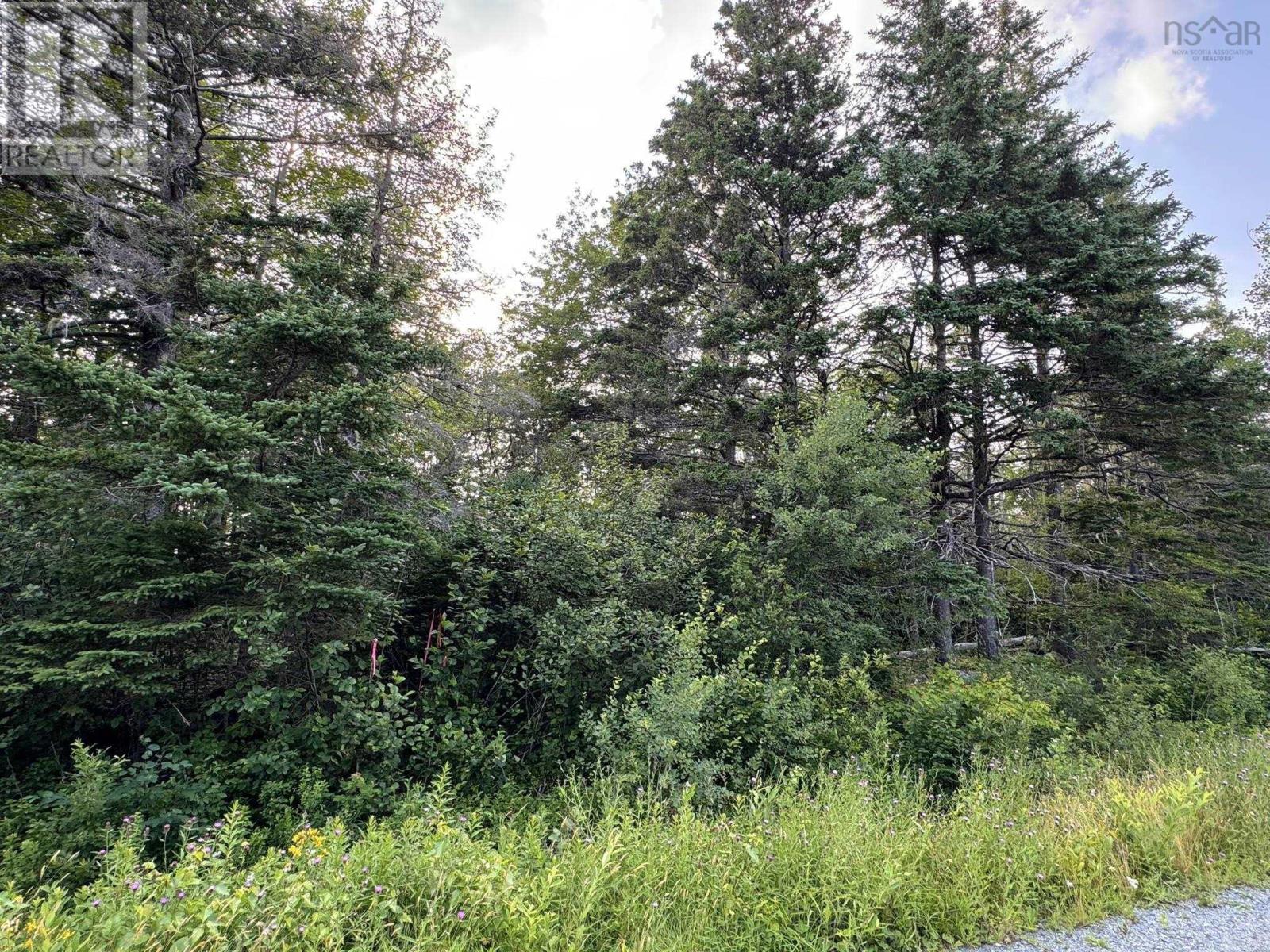 Property 8 of 13 of Lot 10 Eastern Shore Road