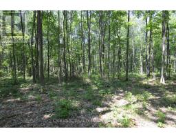 0 Browns/george Road, Alnwick/haldimand, ON K0K2X0 Photo 6