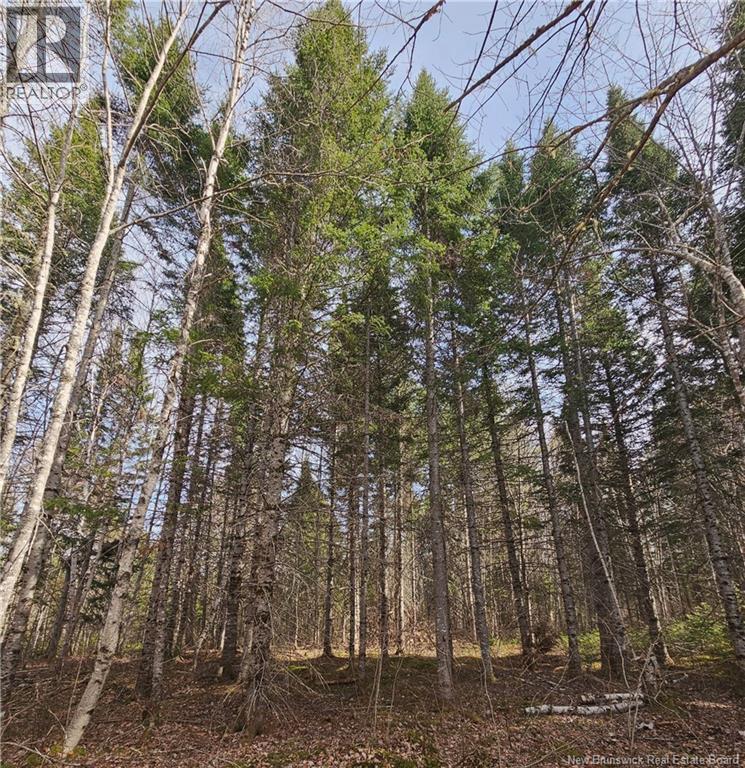 00 Route 118, Chelmsford — photo 2