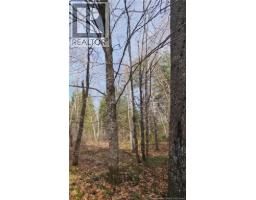 00 Route 118, Chelmsford, NB E9E2G8 Photo 6