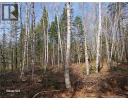 00 Route 118, Chelmsford, NB E9E2G8 Photo 7