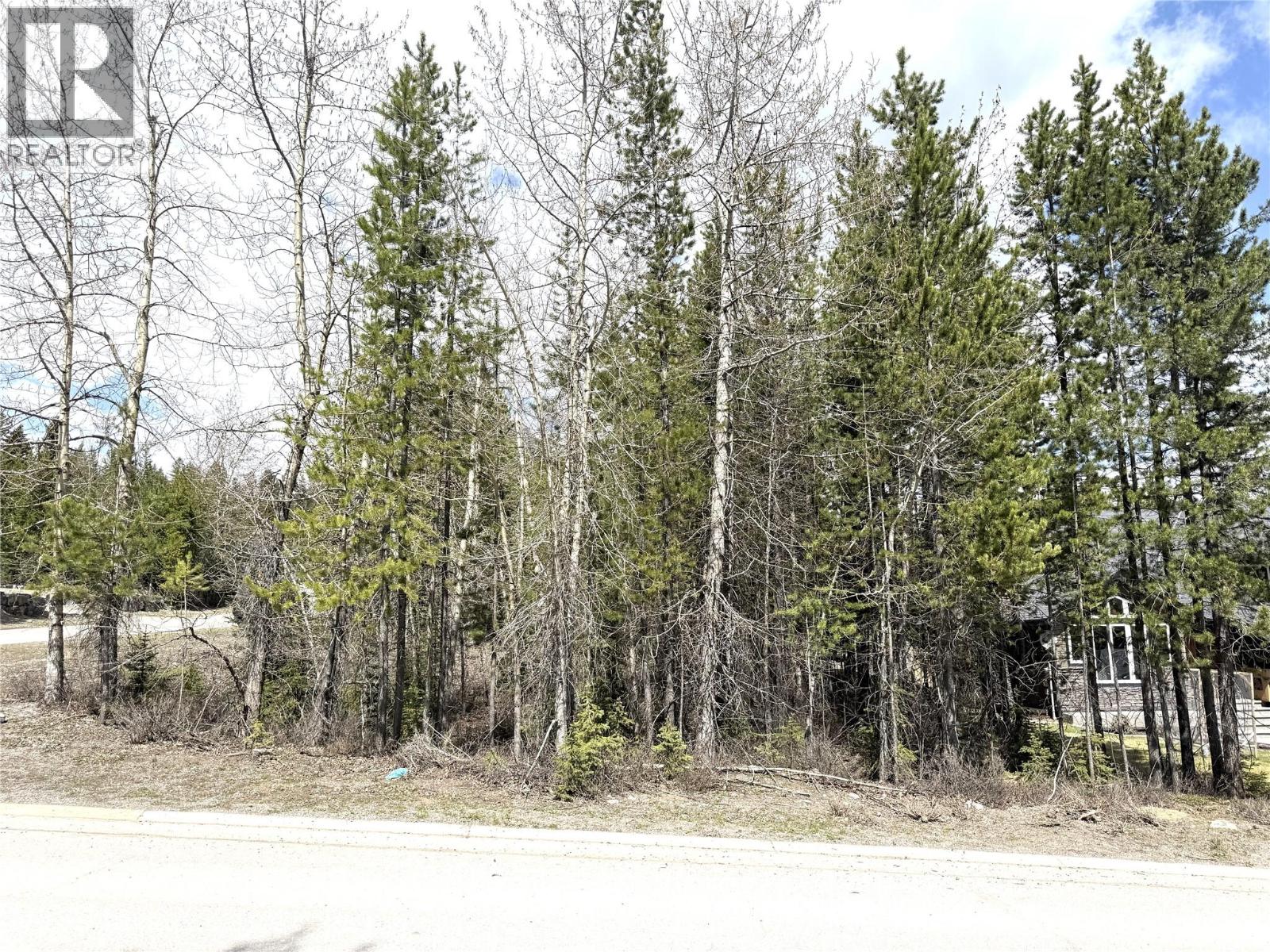 63 DARBY Crescent, Elkford — photo 3
