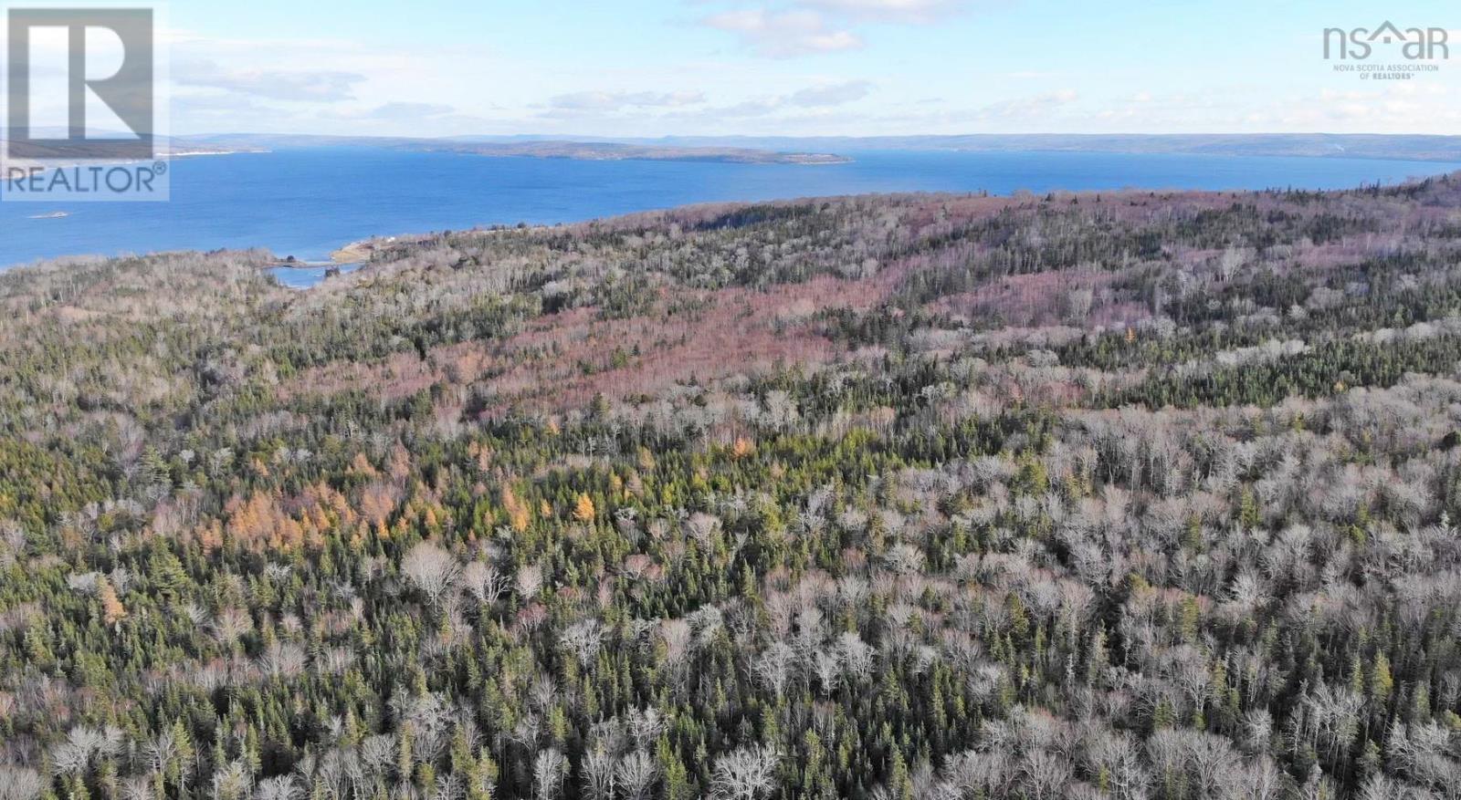 Property 11 of 48 of 46 Acres Washabuck Road