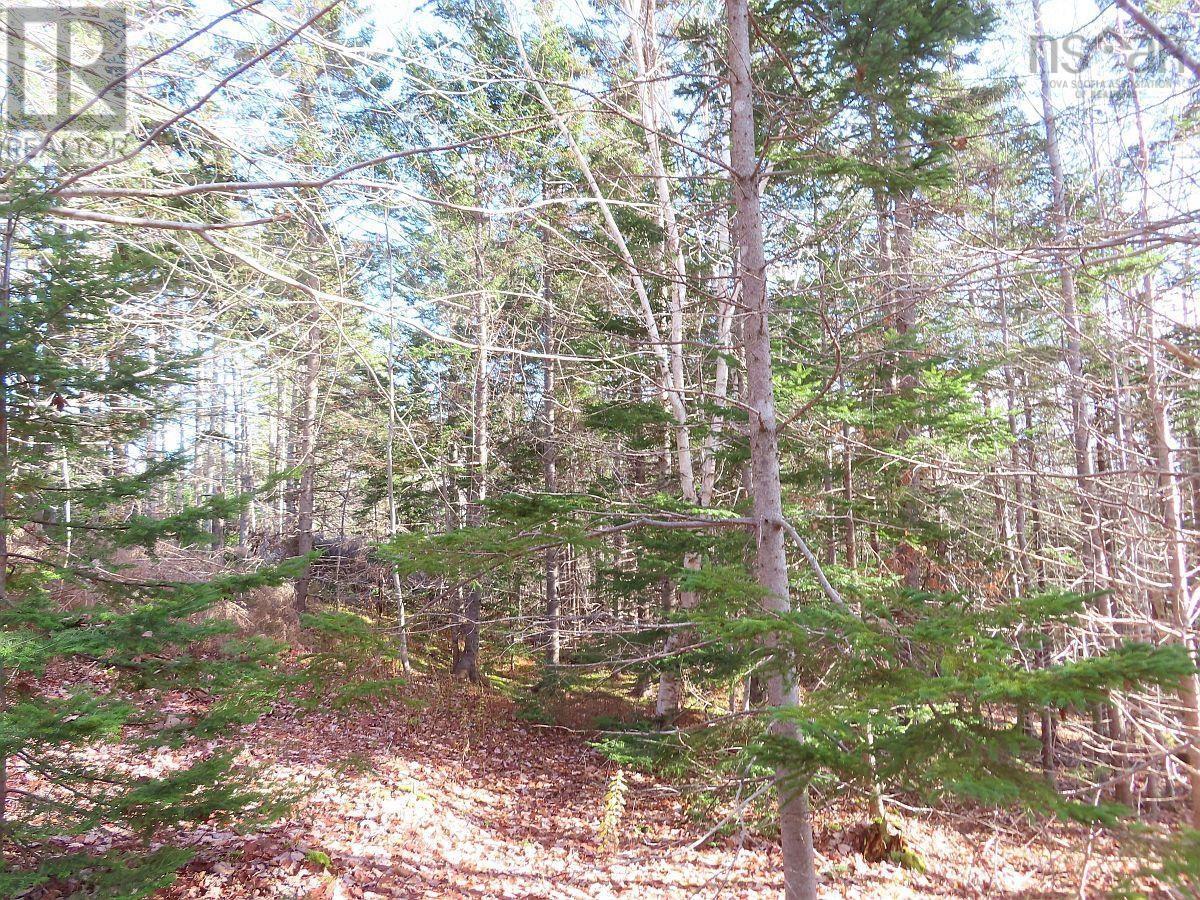 Property 24 of 48 of 46 Acres Washabuck Road