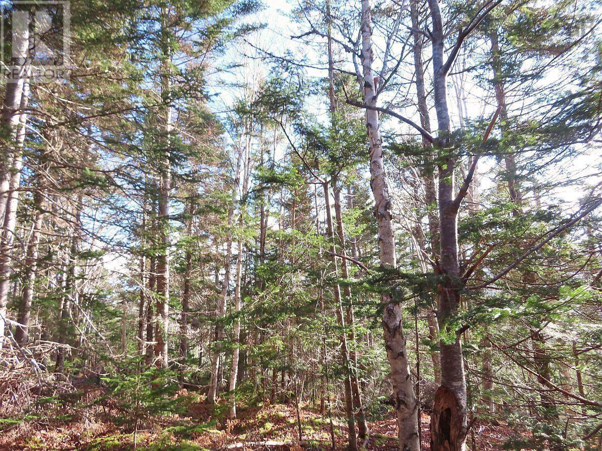 Property 25 of 48 of 46 Acres Washabuck Road