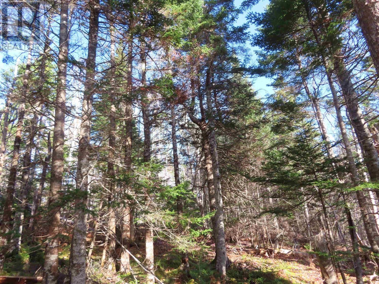 Property 26 of 48 of 46 Acres Washabuck Road