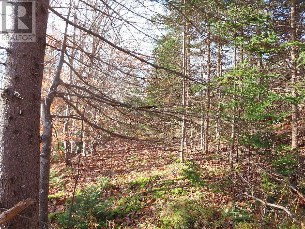 Property 33 of 48 of 46 Acres Washabuck Road