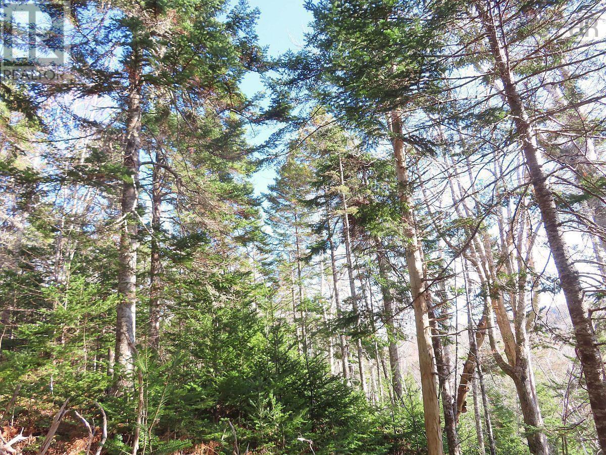 Property 34 of 48 of 46 Acres Washabuck Road