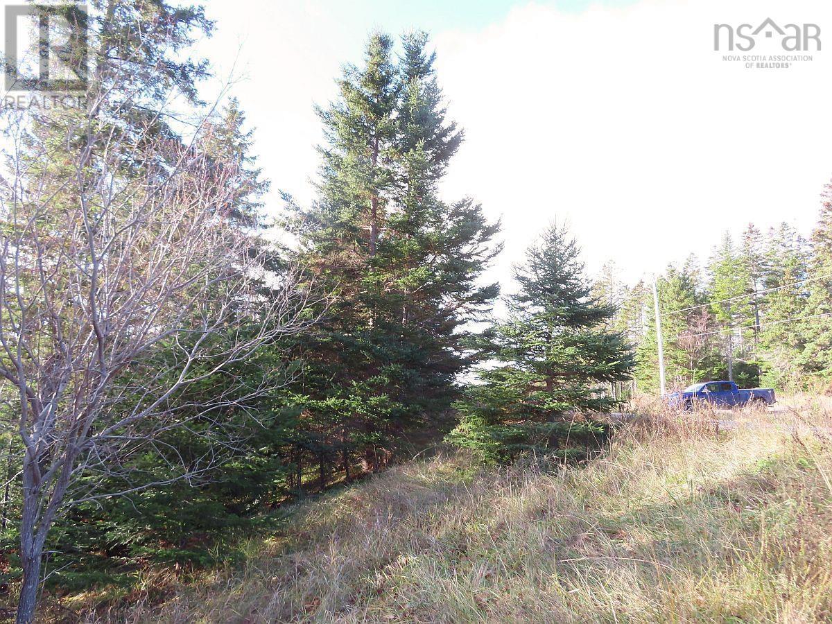 Property 37 of 48 of 46 Acres Washabuck Road
