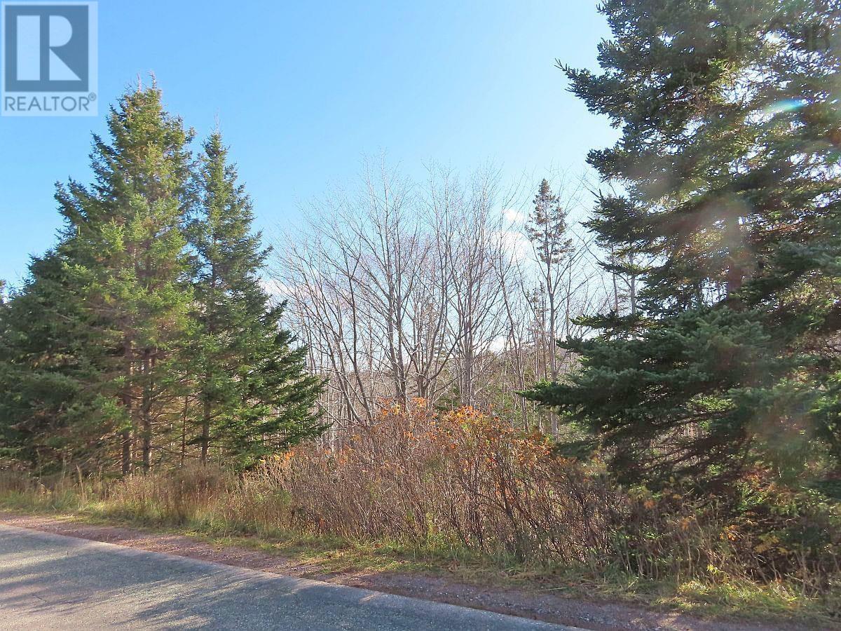 Property 38 of 48 of 46 Acres Washabuck Road