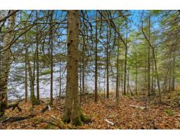 247 Ch. Du Lac-à-larche, Cayamant, QC J0X1Y0 Photo 6