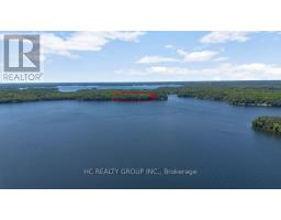 R60- Pt5 Tobins Island, Muskoka Lakes, ON P0B1J0 Photo 10