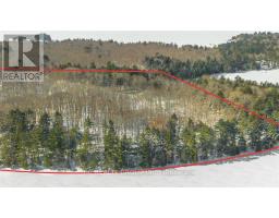 R60- Pt5 Tobins Island, Muskoka Lakes, ON P0B1J0 Photo 14