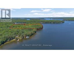 R60- Pt5 Tobins Island, Muskoka Lakes, ON P0B1J0 Photo 8