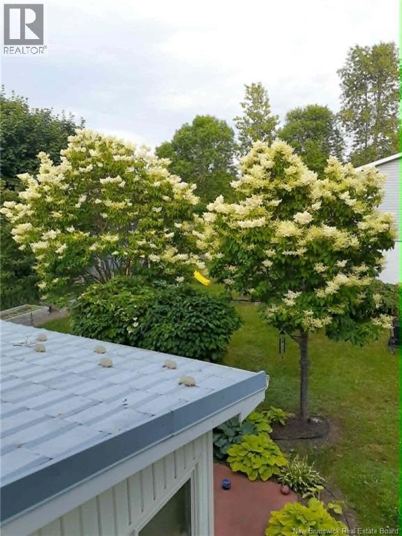 2091 Kennock Van Drive - 7