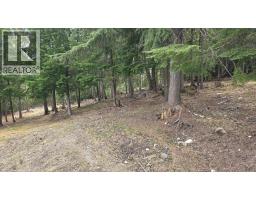 829 Bobbie Burns Road, Lumby, BC V0E2G4 Photo 28