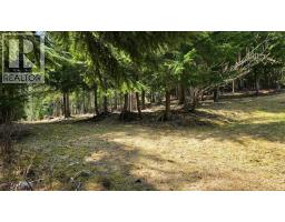 829 Bobbie Burns Road, Lumby, BC V0E2G4 Photo 40