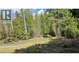 829 Bobbie Burns Road, Lumby, BC V0E2G4 Photo 45