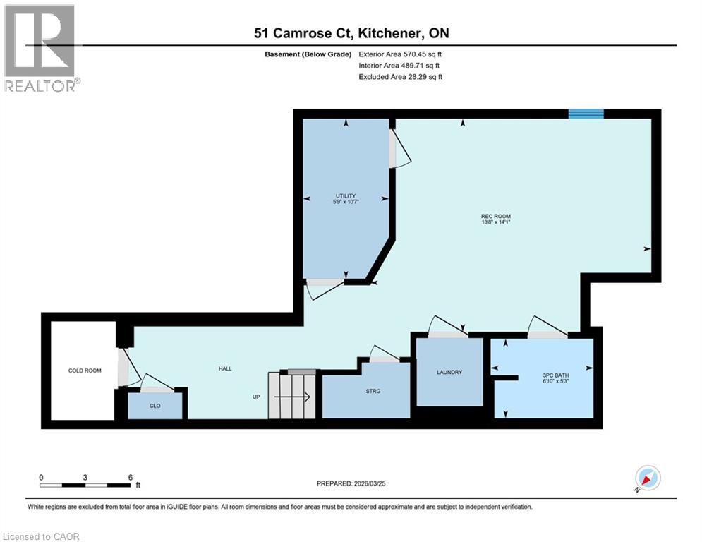 51 CAMROSE Court, Kitchener, Ontario, N2M5J4 — Photo 44
