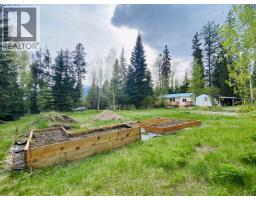 1010 Main Street, Valemount, BC V0E2Z0 Photo 16