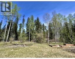 1010 Main Street, Valemount, BC V0E2Z0 Photo 17