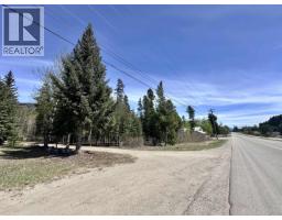 1010 Main Street, Valemount, BC V0E2Z0 Photo 20