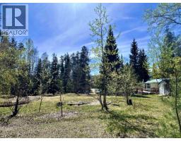 1010 Main Street, Valemount, BC V0E2Z0 Photo 18