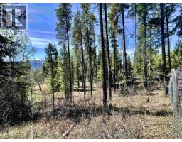 1010 Main Street, Valemount, BC V0E2Z0 Photo 19