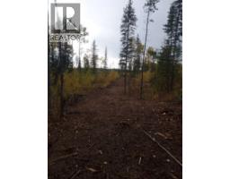 Blk A 97 Highway, Hixon, BC V0K1S0 Photo 19