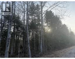Mckay Loop Road, Pennfield, NB E5H2L2 Photo 10