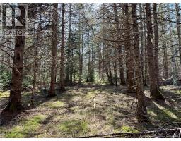 Lot Route 935, Westcock, NB E4L2E7 Photo 10