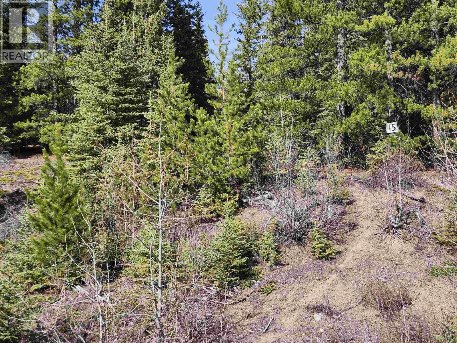 #LOT-15 BINTA MAIN FOREST SERVICE Road, Burns Lake