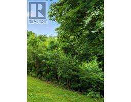 38 Woodrow Street, St  Catharines, ON L2P2A2 Photo 27