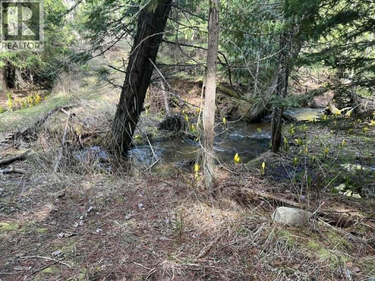 1325 Lakeview Arrow Creek Road - 31