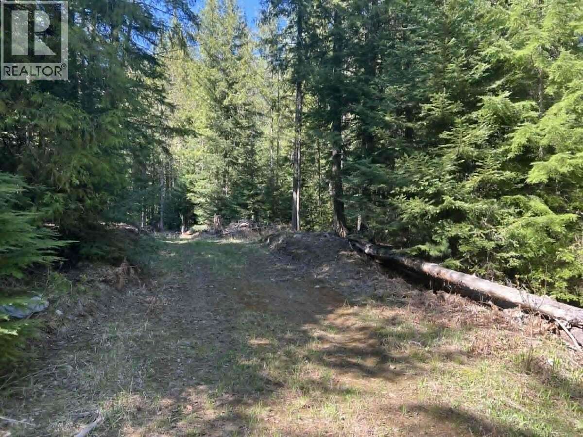 1325 Lakeview Arrow Creek Road - 44