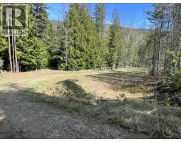 1325 Lakeview Arrow Creek Road, Creston, BC V0B1G9 Photo 33