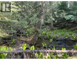 1325 Lakeview Arrow Creek Road, Creston, BC V0B1G9 Photo 38