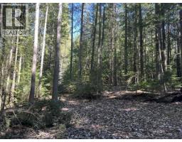 1325 Lakeview Arrow Creek Road, Creston, BC V0B1G9 Photo 42