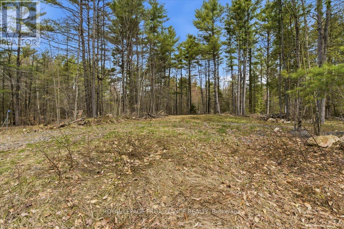 265 ADDINGTON ROAD 4, Frontenac (Frontenac North) — photo 3