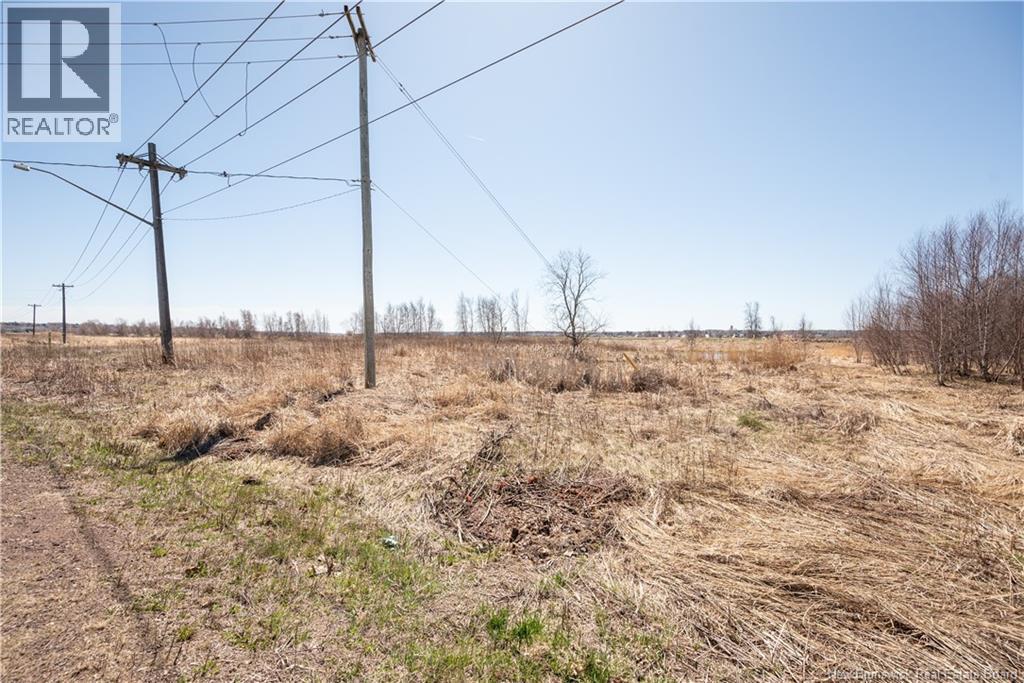 343 Beausejour Street - 36