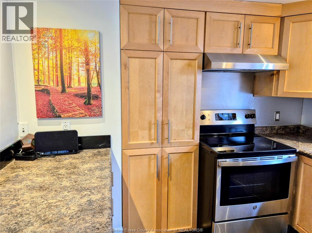 258 ELM AVENUE, Windsor, Ontario, N9A5G8 — Photo 11