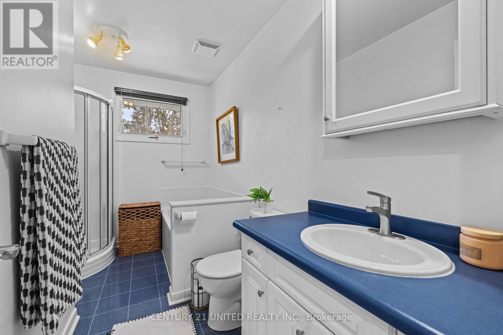 1227 CARTIER BOULEVARD - 17