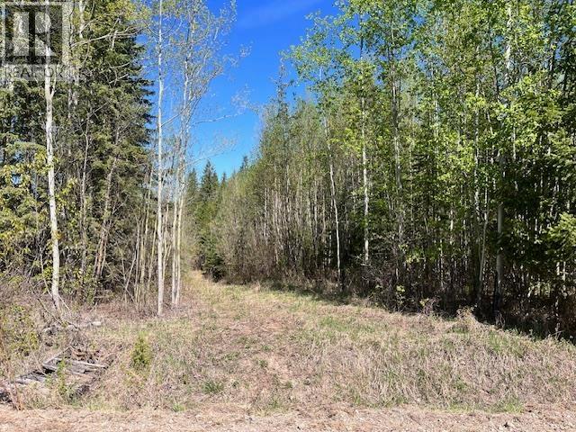 LOT 2 BOURGEOIS ROAD, Quesnel — photo 3