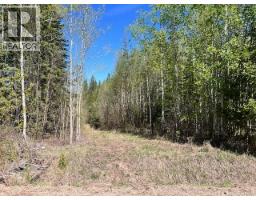 Lot 2 Bourgeois Road, Quesnel, BC V2J6B9 Photo 7