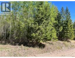 Lot 2 Bourgeois Road, Quesnel, BC V2J6B9 Photo 6