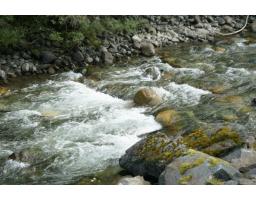 Sve60 Old Hope Princeton Highway, Sunshine Valley, Sunshine Valley, BC V0X1L5 Photo 24