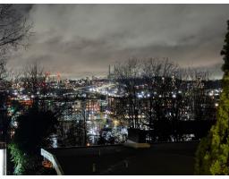 11019 129 Street, Surrey, BC V3T3J3 Photo 6