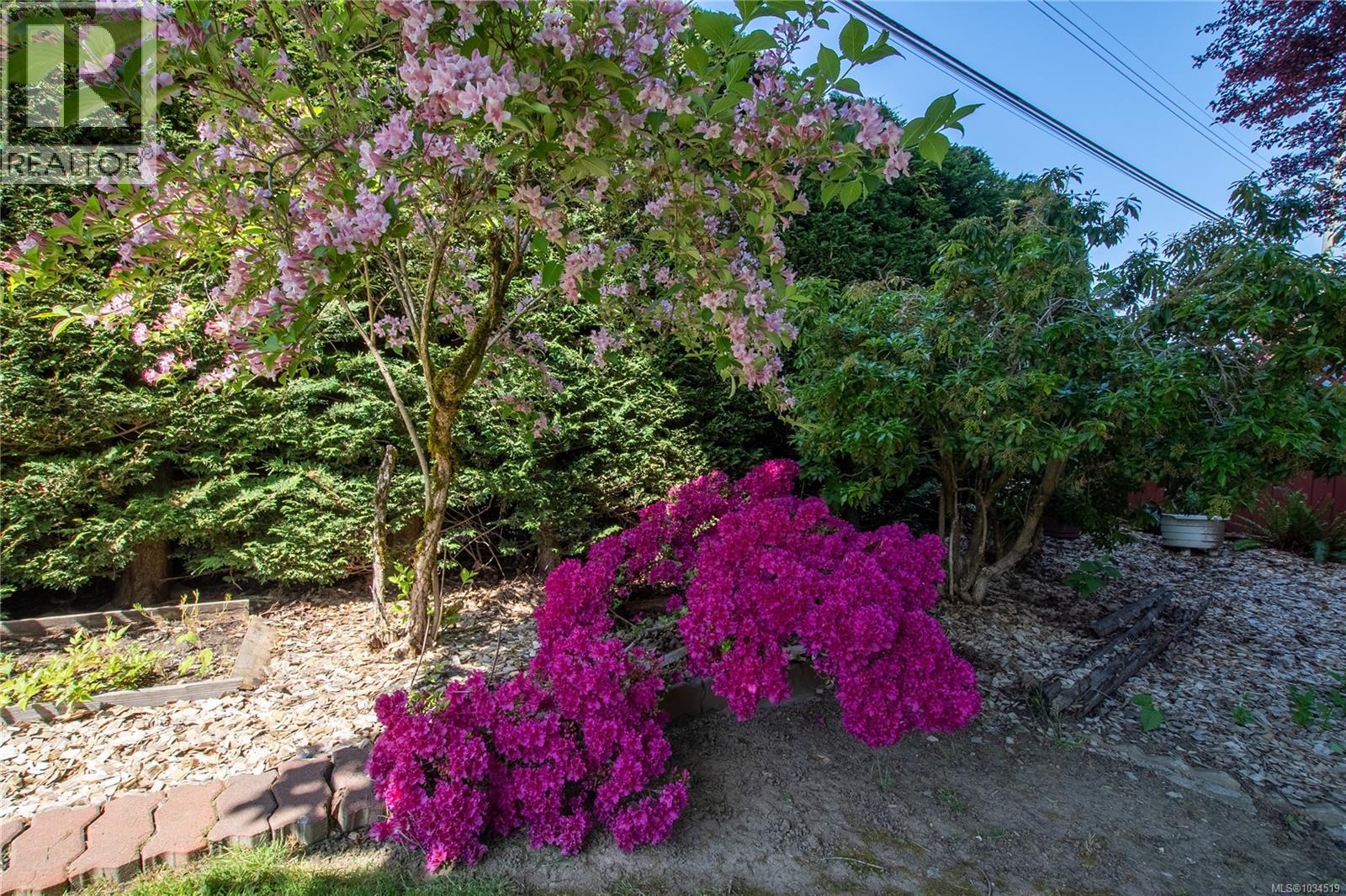8071 Queen St - 13