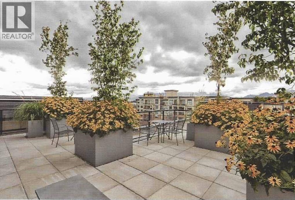 411 11865 227 STREET, Maple Ridge