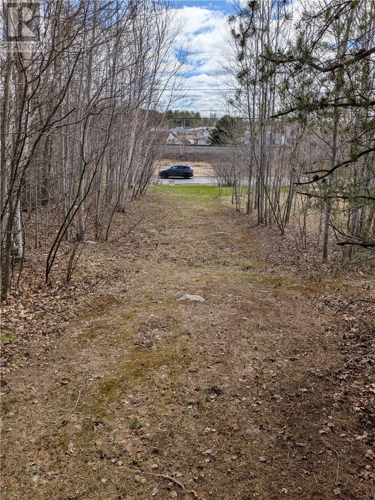 0 Colonization (see legal description) Road, Wahnapitae, Ontario, P0M3C0 — Photo 5